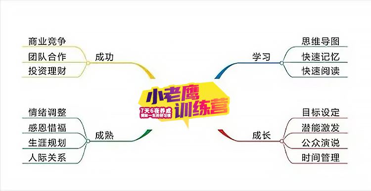 小老鹰训练营实拍图